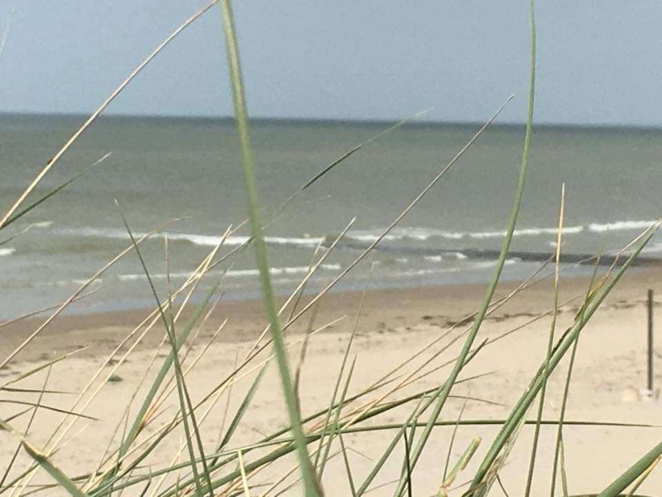 Stacaravan 4pers In Met Eigen Tuintje 2449 Vakantiehuis *