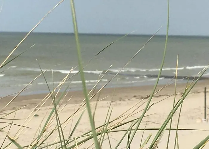 Stacaravan 4Pers In Bredene Met Eigen Tuintje 2449